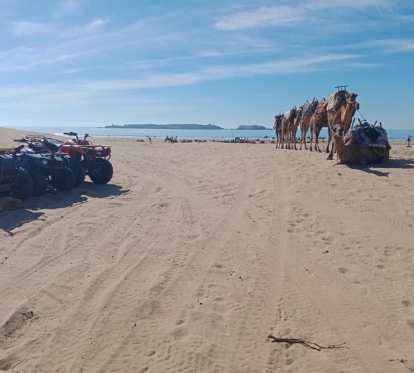 Randonnées en quad