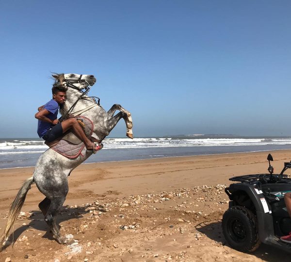 Randonnées à cheval