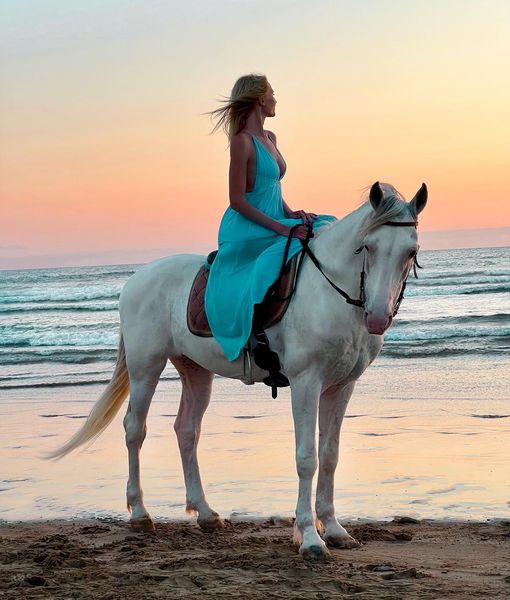 Cheval à Essaouira